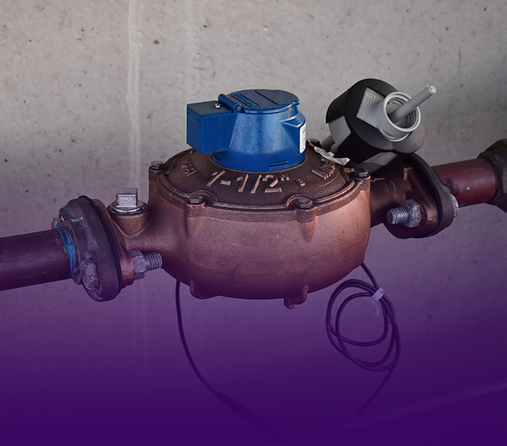 Backflow Services